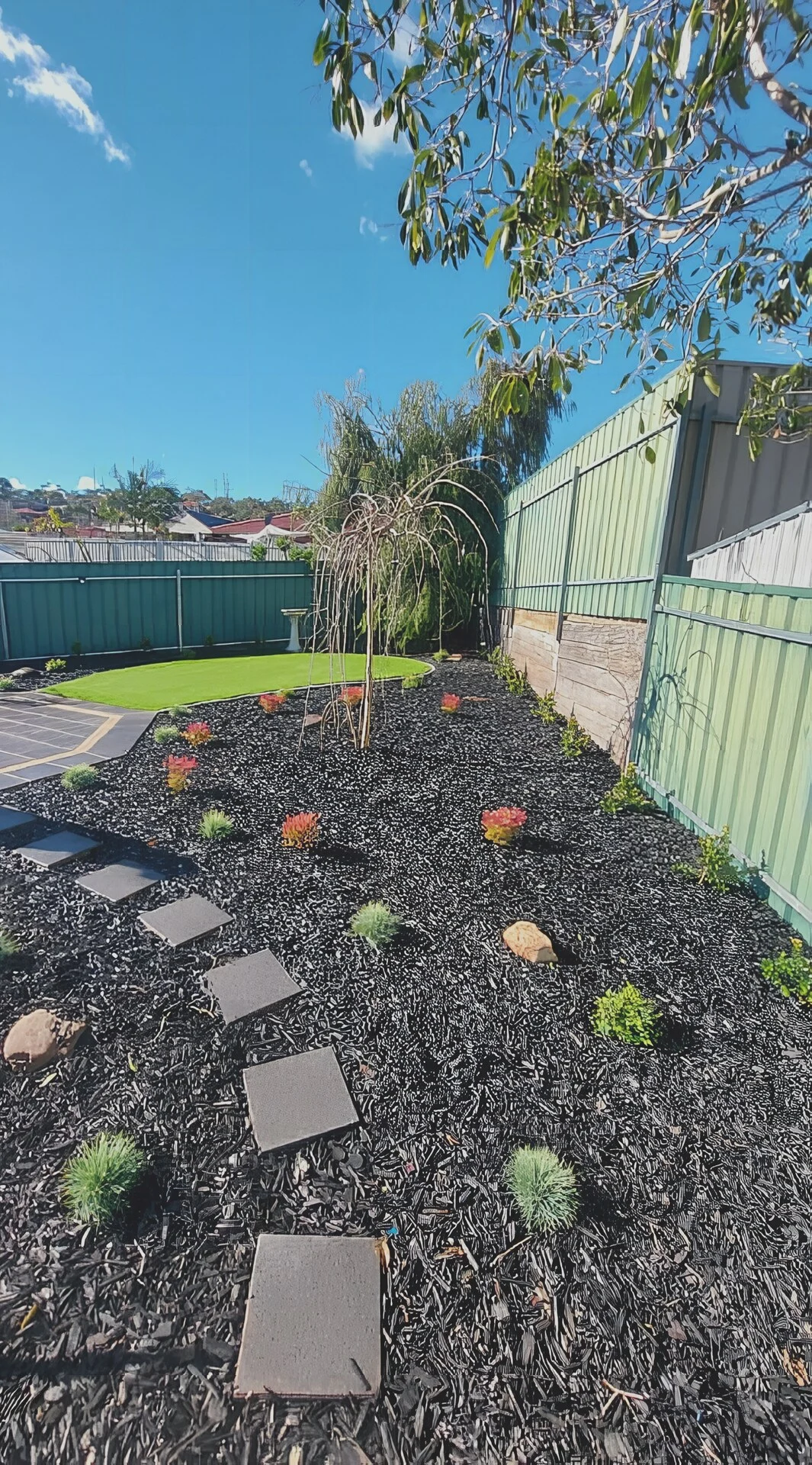 Native garden planting with mulch and edging